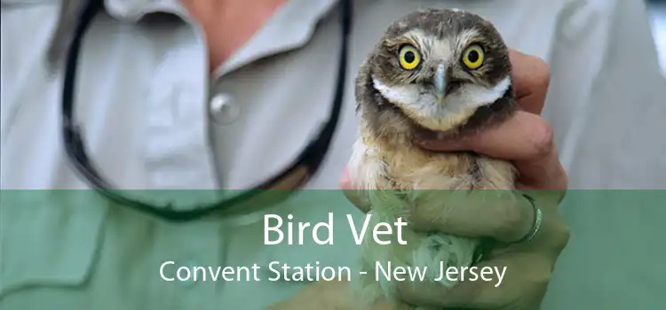 Bird Vet Convent Station - New Jersey
