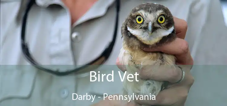 Bird Vet Darby - Pennsylvania