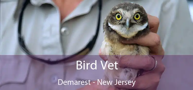 Bird Vet Demarest - New Jersey