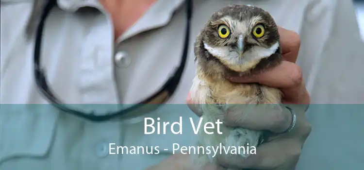 Bird Vet Emanus - Pennsylvania