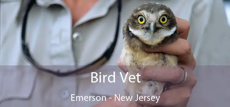 Bird Vet Emerson - New Jersey