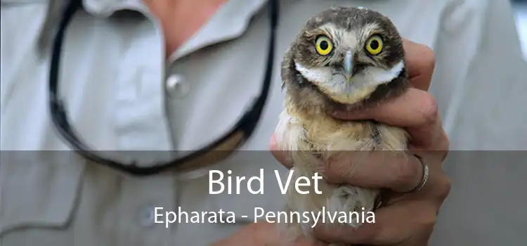 Bird Vet Epharata - Pennsylvania