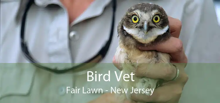 Bird Vet Fair Lawn - New Jersey