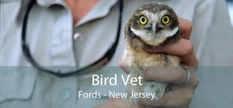 Bird Vet Fords - New Jersey
