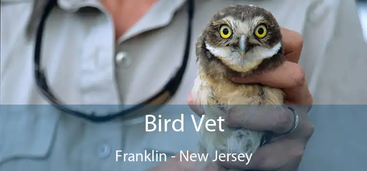 Bird Vet Franklin - New Jersey