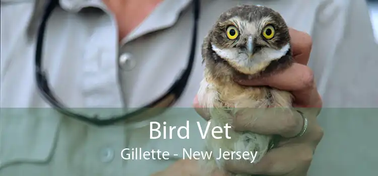 Bird Vet Gillette - New Jersey