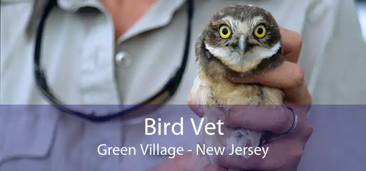 Bird Vet Green Village - New Jersey