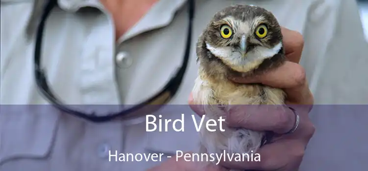 Bird Vet Hanover - Pennsylvania