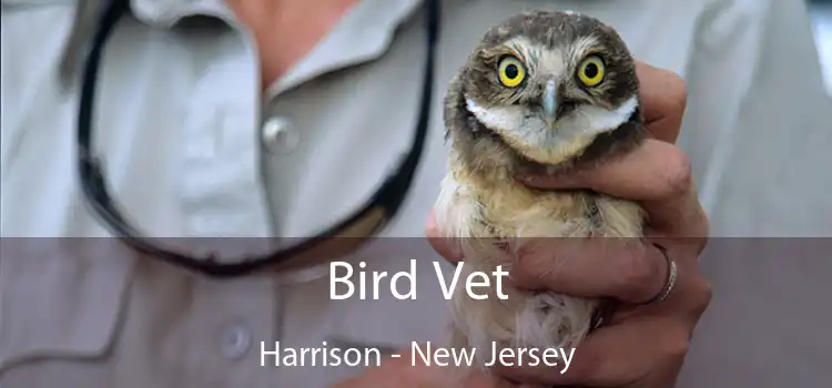 Bird Vet Harrison - New Jersey