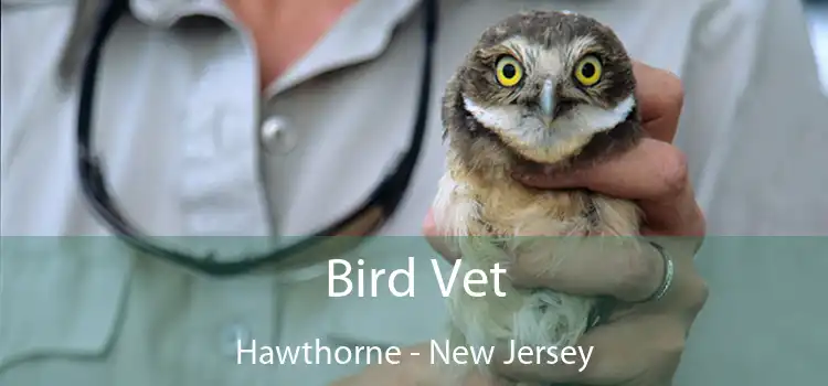 Bird Vet Hawthorne - New Jersey