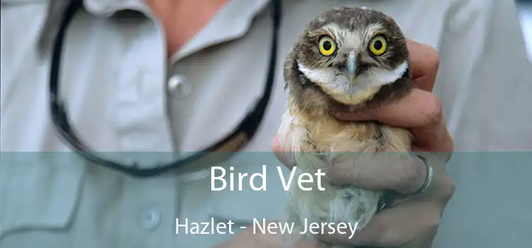 Bird Vet Hazlet - New Jersey