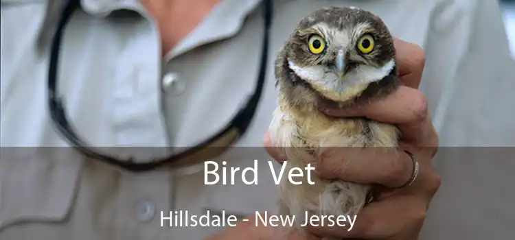 Bird Vet Hillsdale - New Jersey