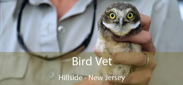 Bird Vet Hillside - New Jersey