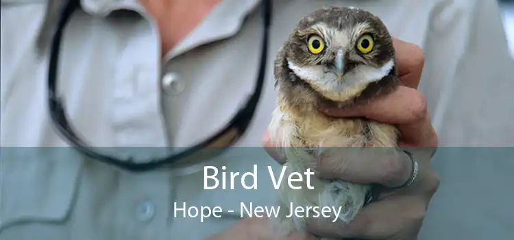 Bird Vet Hope - New Jersey