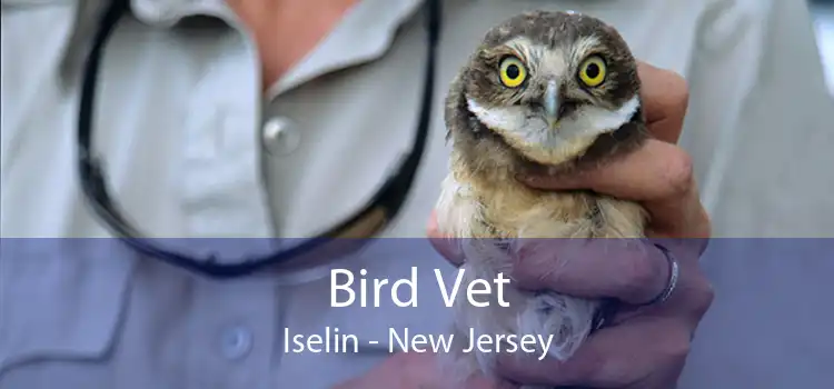 Bird Vet Iselin - New Jersey