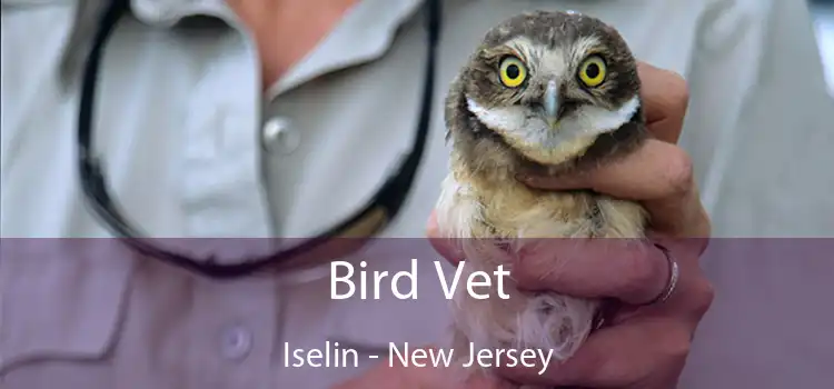 Bird Vet Iselin - New Jersey