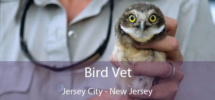 Bird Vet Jersey City - New Jersey