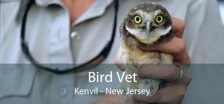 Bird Vet Kenvil - New Jersey