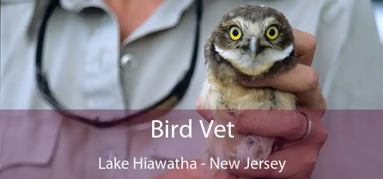 Bird Vet Lake Hiawatha - New Jersey