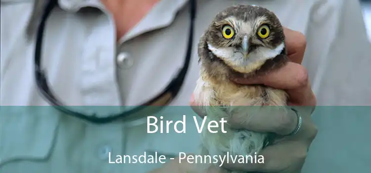 Bird Vet Lansdale - Pennsylvania