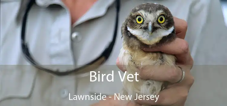 Bird Vet Lawnside - New Jersey