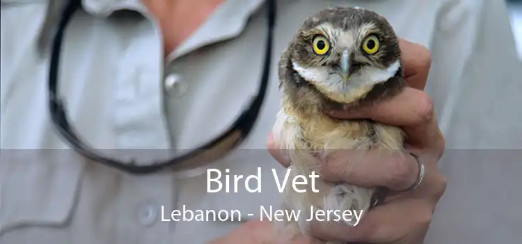 Bird Vet Lebanon - New Jersey