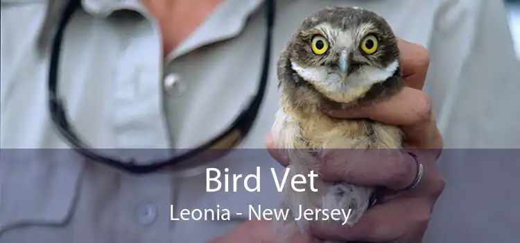 Bird Vet Leonia - New Jersey