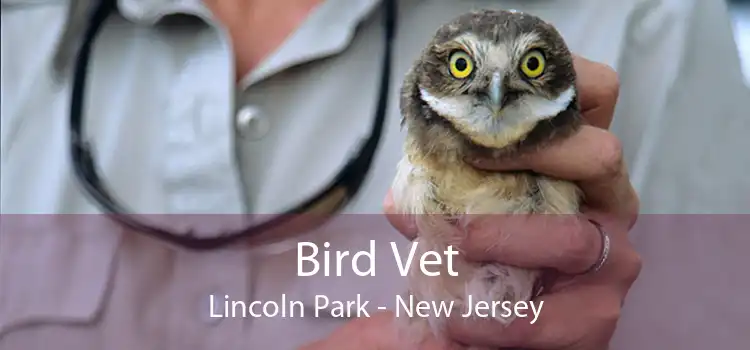 Bird Vet Lincoln Park - New Jersey