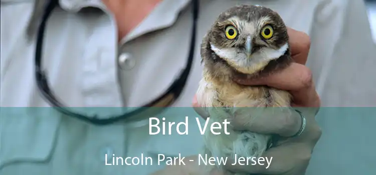 Bird Vet Lincoln Park - New Jersey