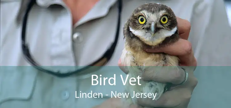 Bird Vet Linden - New Jersey