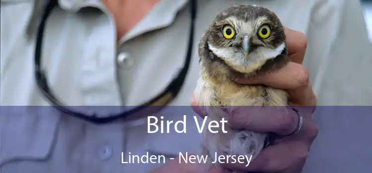 Bird Vet Linden - New Jersey