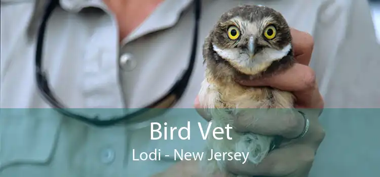 Bird Vet Lodi - New Jersey