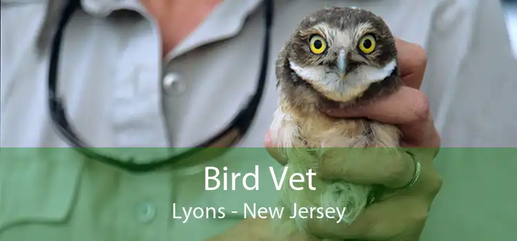 Bird Vet Lyons - New Jersey
