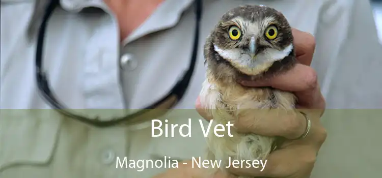 Bird Vet Magnolia - New Jersey