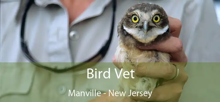 Bird Vet Manville - New Jersey