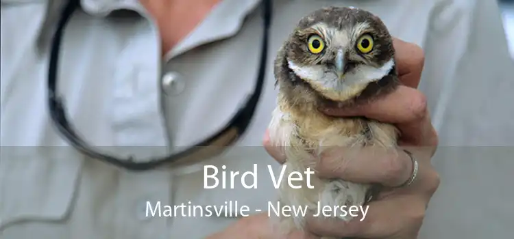 Bird Vet Martinsville - New Jersey