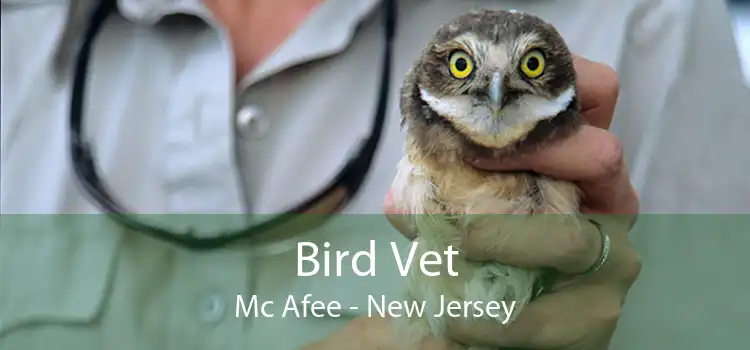 Bird Vet Mc Afee - New Jersey
