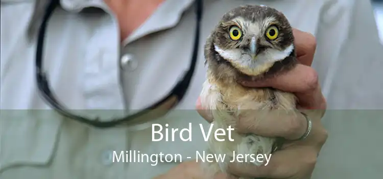 Bird Vet Millington - New Jersey