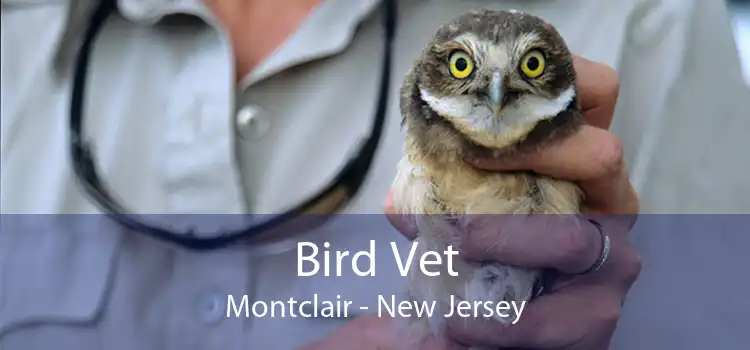 Bird Vet Montclair - New Jersey