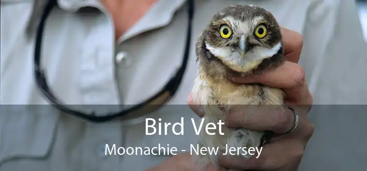 Bird Vet Moonachie - New Jersey