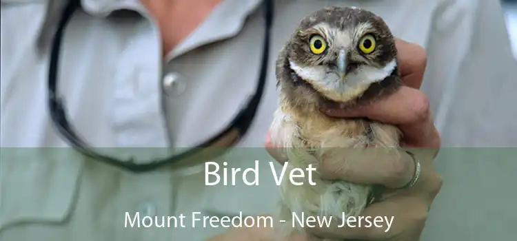 Bird Vet Mount Freedom - New Jersey