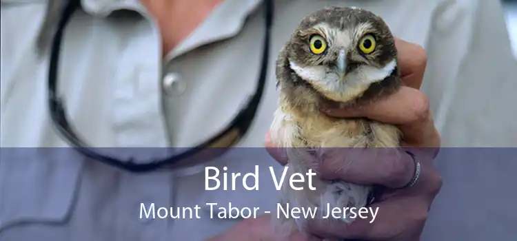 Bird Vet Mount Tabor - New Jersey