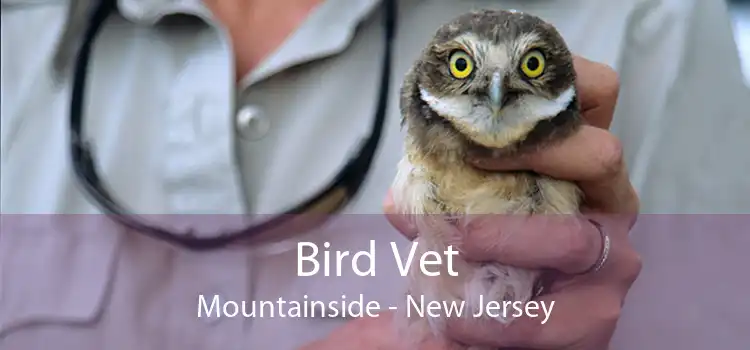 Bird Vet Mountainside - New Jersey