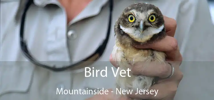 Bird Vet Mountainside - New Jersey