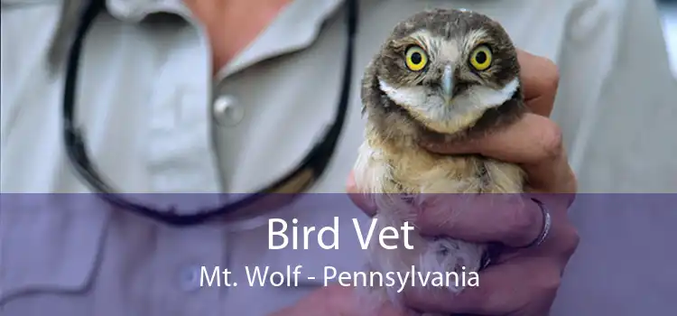 Bird Vet Mt. Wolf - Pennsylvania
