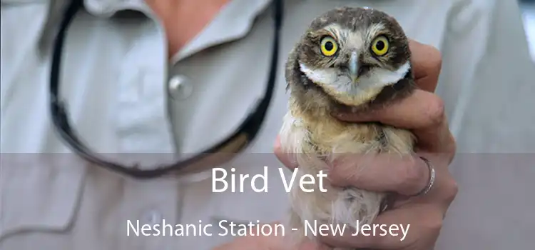 Bird Vet Neshanic Station - New Jersey