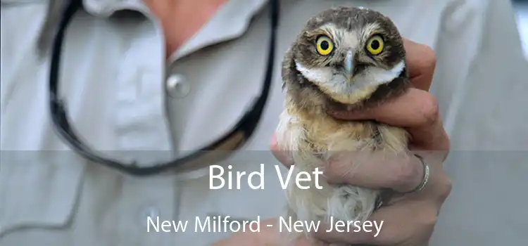 Bird Vet New Milford - New Jersey