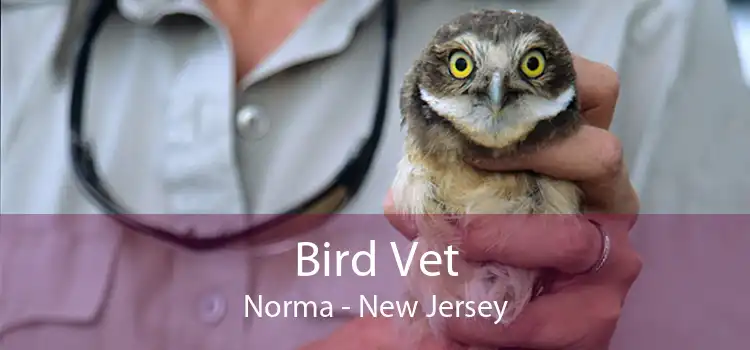 Bird Vet Norma - New Jersey