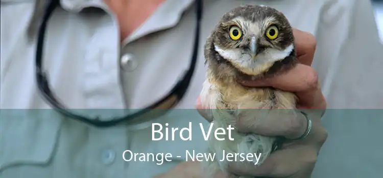 Bird Vet Orange - New Jersey