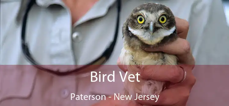 Bird Vet Paterson - New Jersey